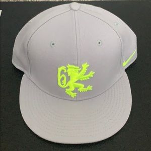 LeBron James Nike SnapBack
